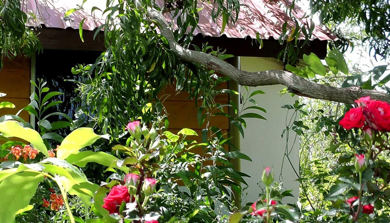 Sunntop Cabana Trincomalee Exteriér fotografie